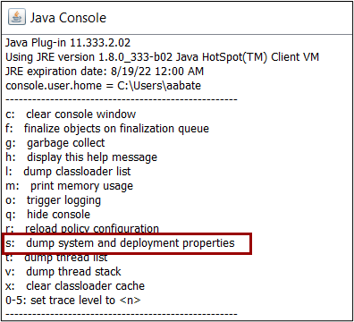 Java Console enable dump system and deployment properties.